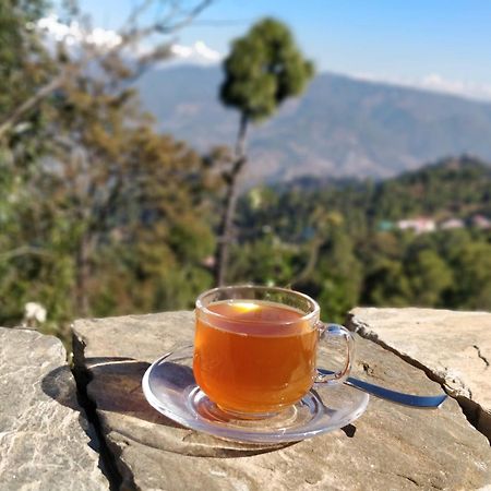 Meraki - Entire 3Bhk Villa With Himalayan Views Ranikhet Eksteriør bilde