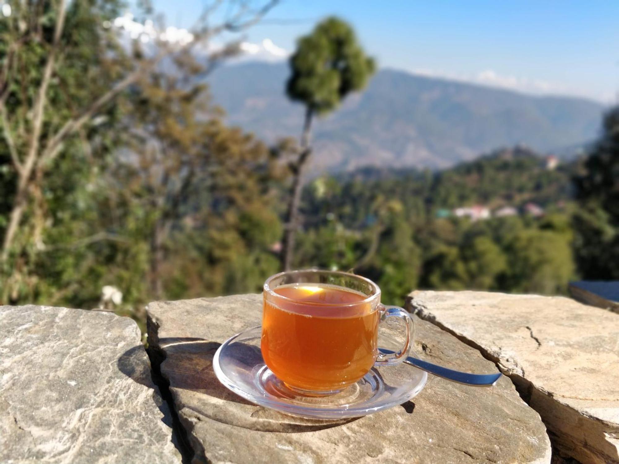 Meraki - Entire 3Bhk Villa With Himalayan Views Ranikhet Eksteriør bilde